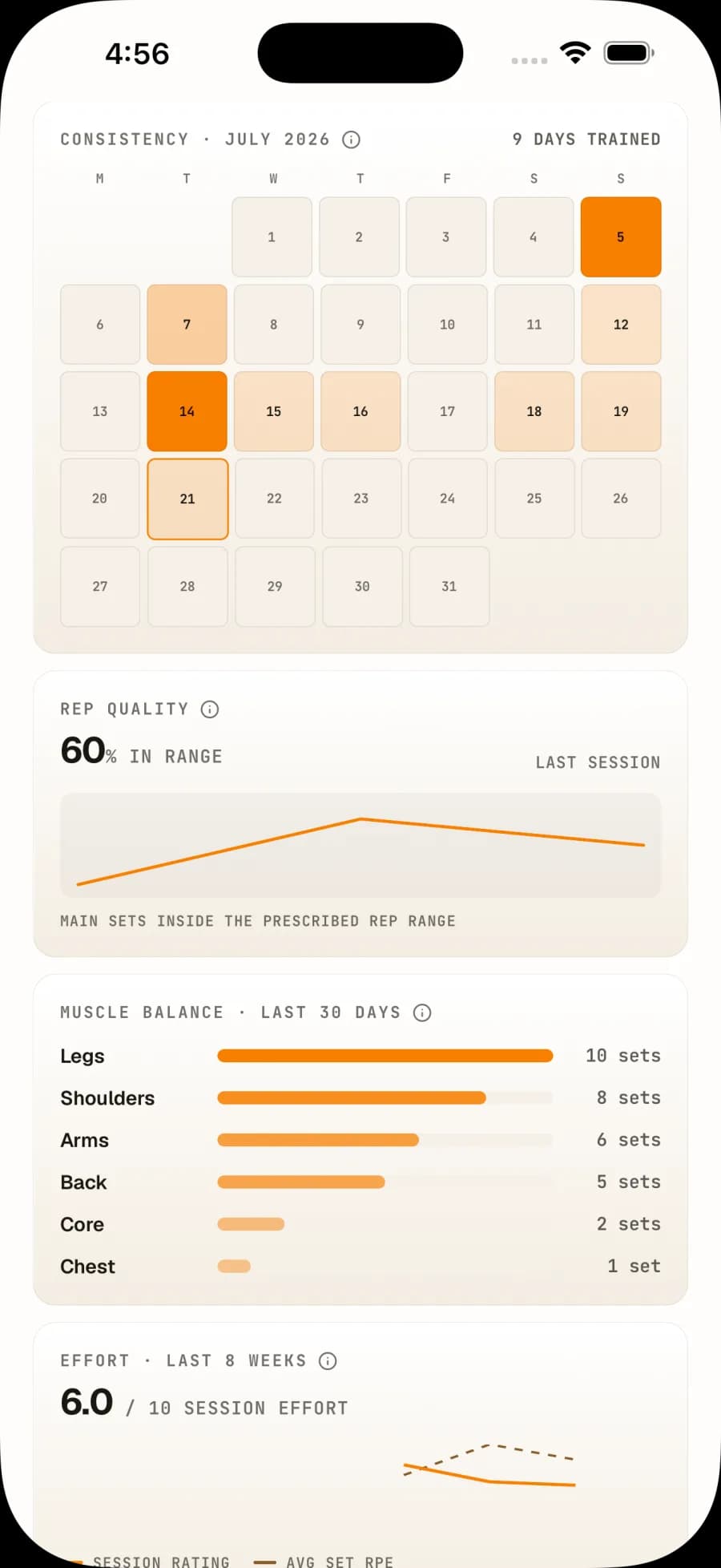 Workout progress and consistency inside Rizanah